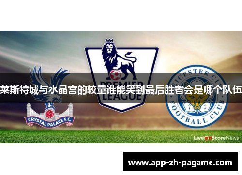 莱斯特城与水晶宫的较量谁能笑到最后胜者会是哪个队伍